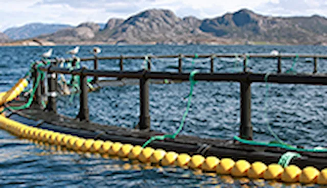Product Certification for the Aquaculture industry