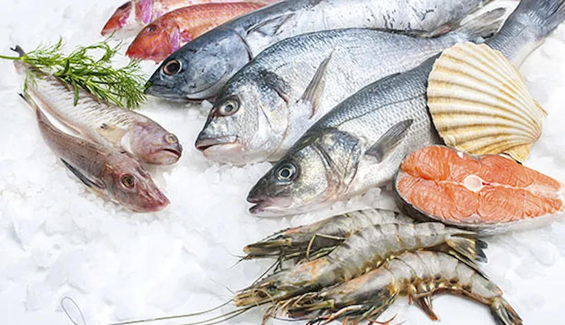 Seafood & aquaculture