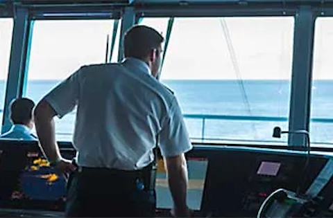 Download the full article