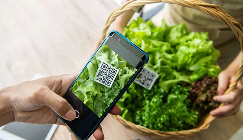 QR-codes communication potential is untapped