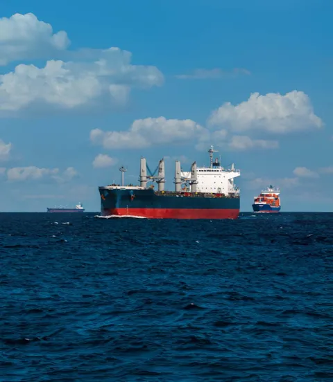 Multiple ships at sea