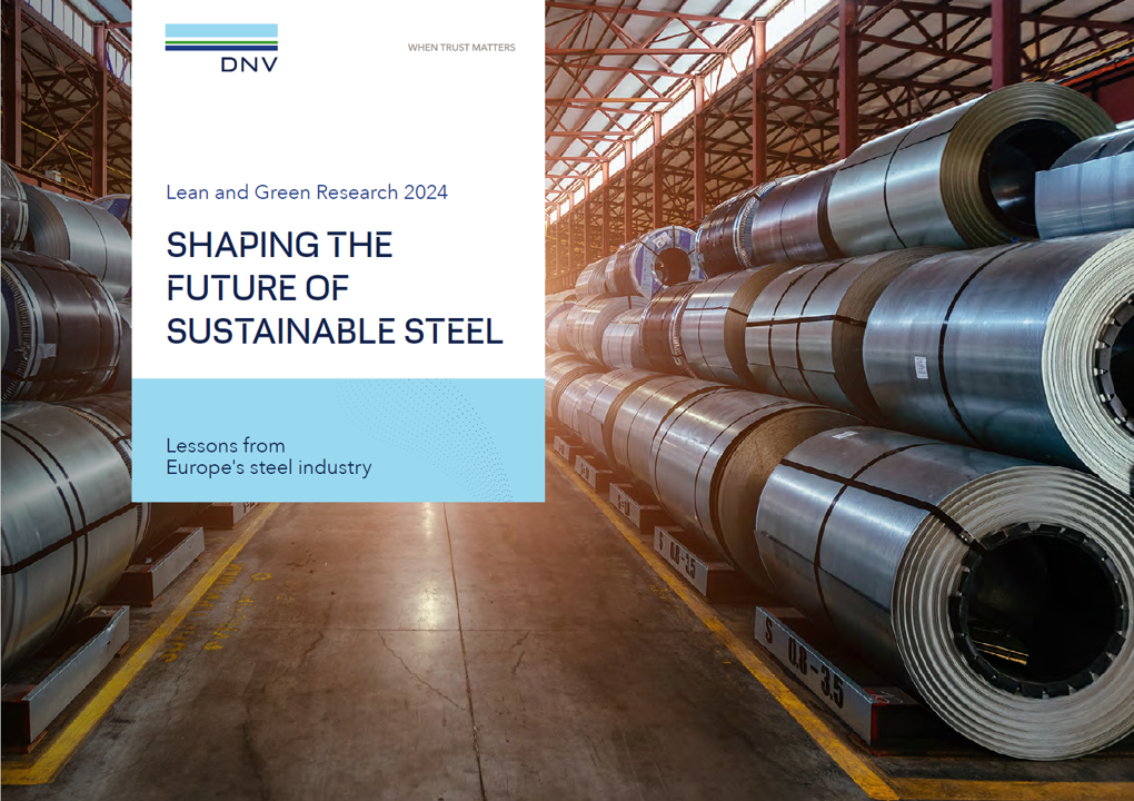 Shaping the future of sustainable steel: Lessons from Europe's steel Industry