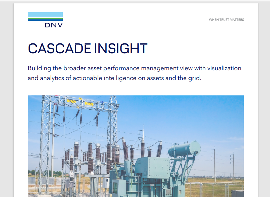Cascade Insight flyer