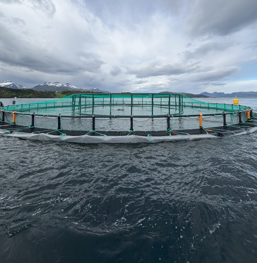 Open pen fish farm