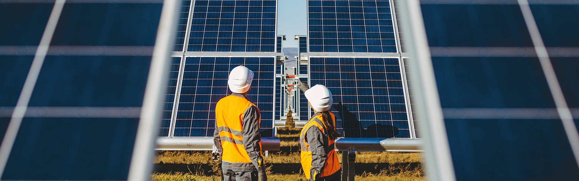 Two surveyors on a solar farm