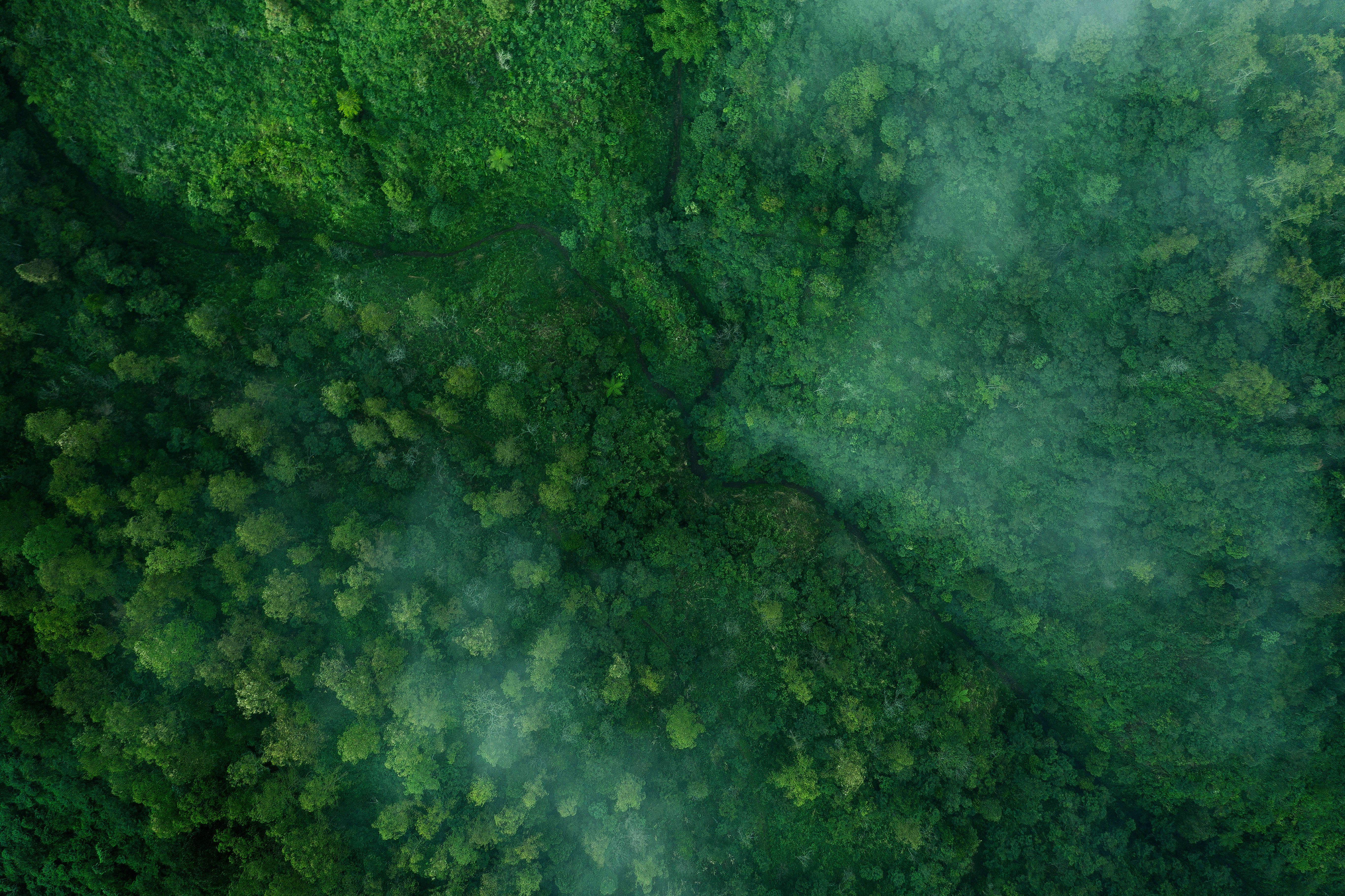 Group of Diverse Hands Together Joining Concept