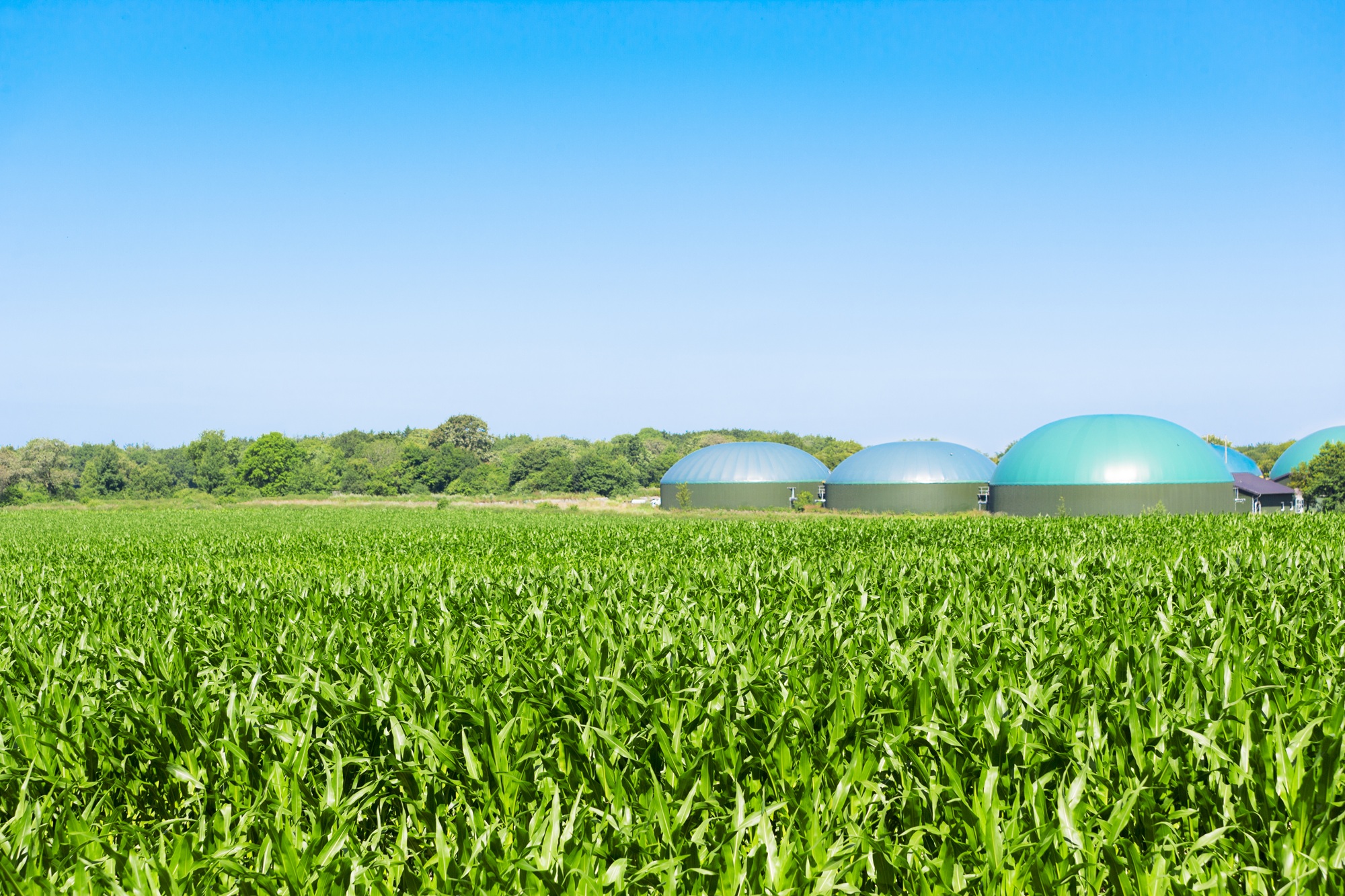 Banking on biomethane