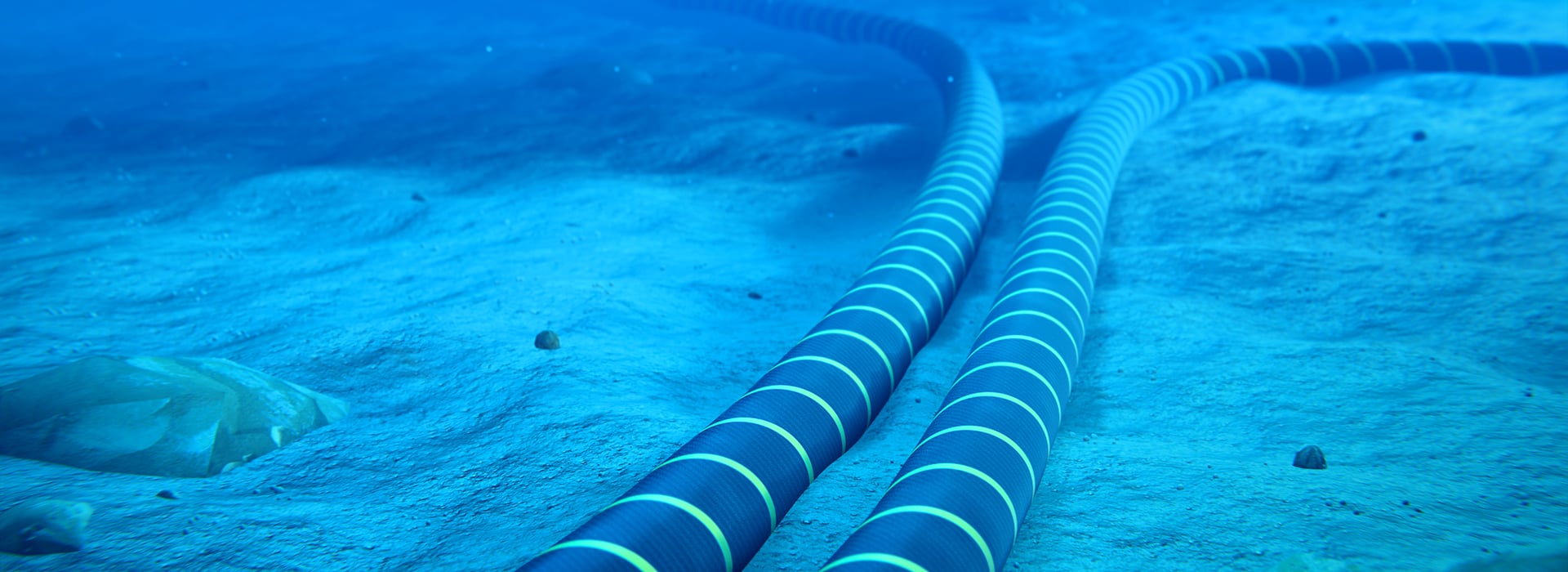 3D rendering of submarine cables
