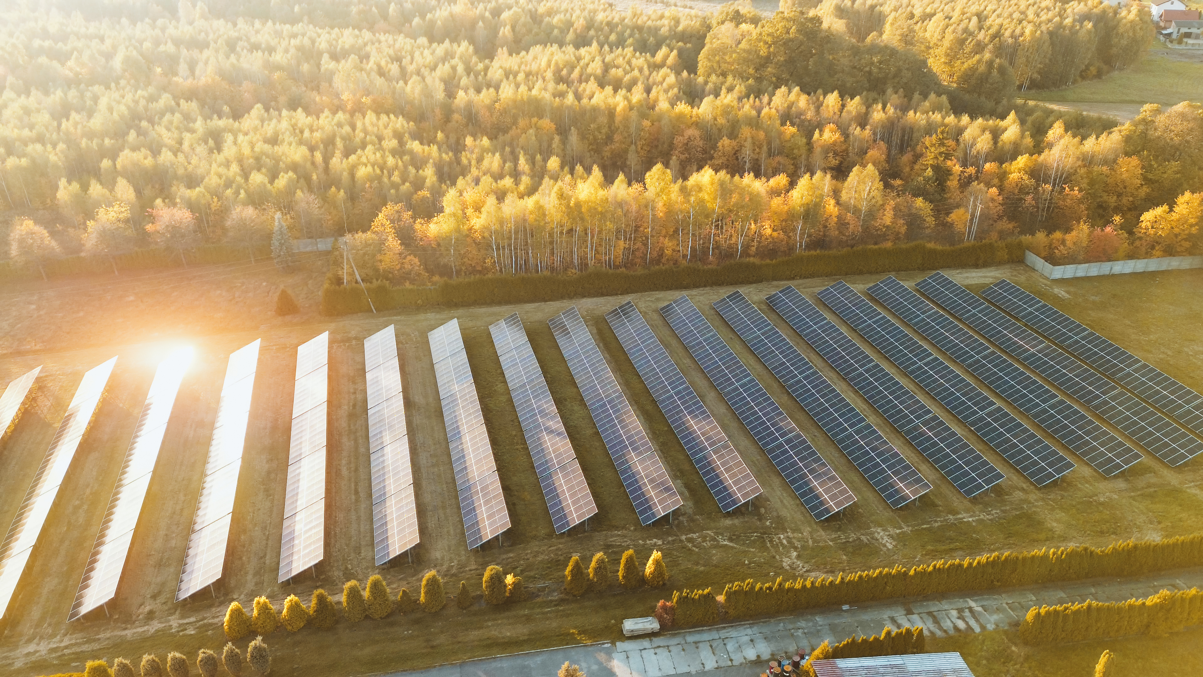Solar panel installation in a large renewable energy field, representing verified sustainability performance and responsible investment
