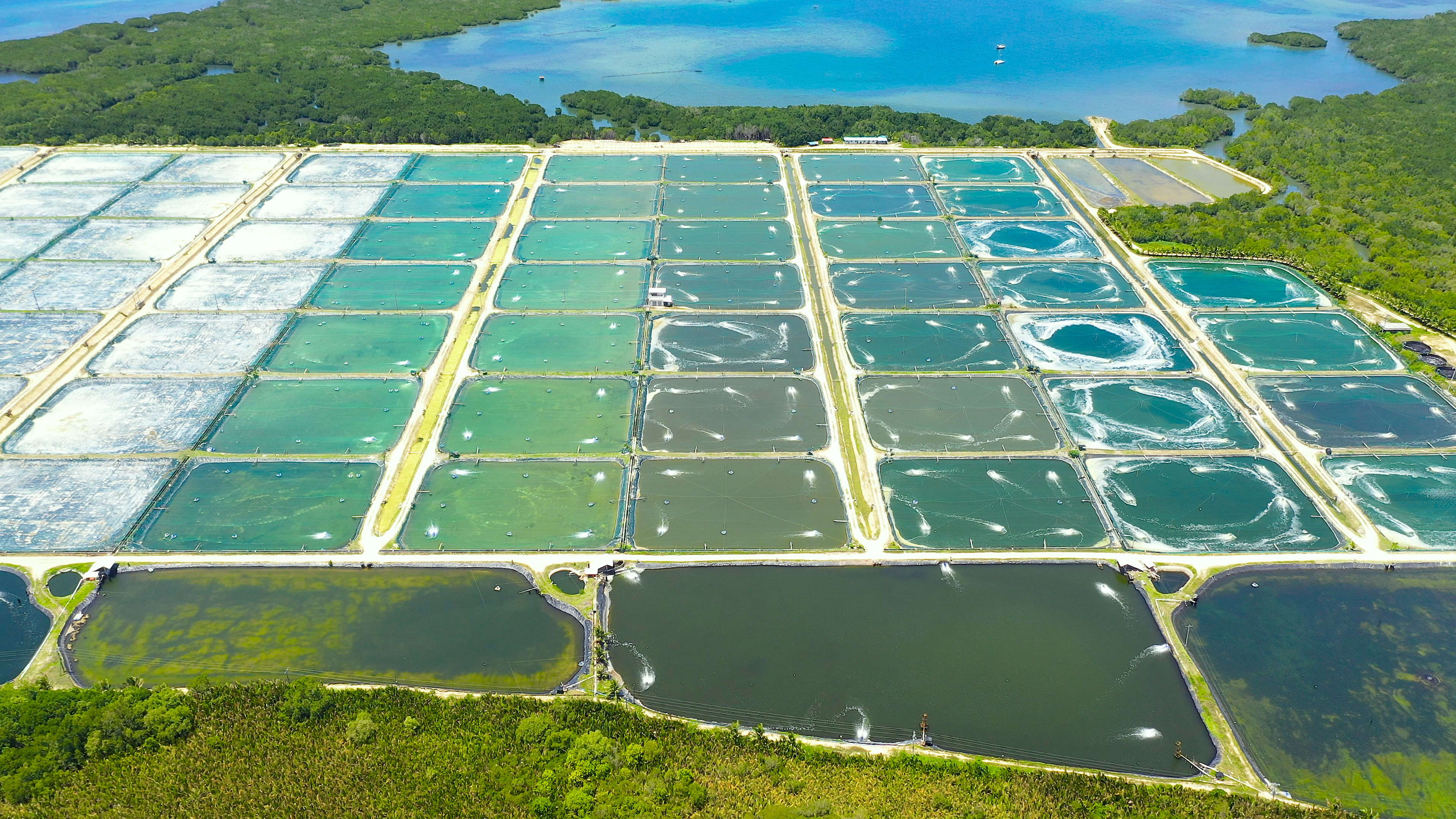 Aerial view of a land-based aquaculture facility with ponds and infrastructure supporting controlled fish farming operations