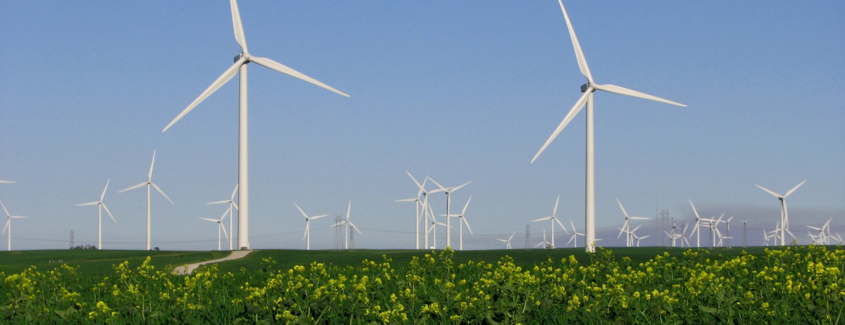 Wind measurement campaigns with lidar