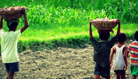 Human Rights Due Diligence and DNV