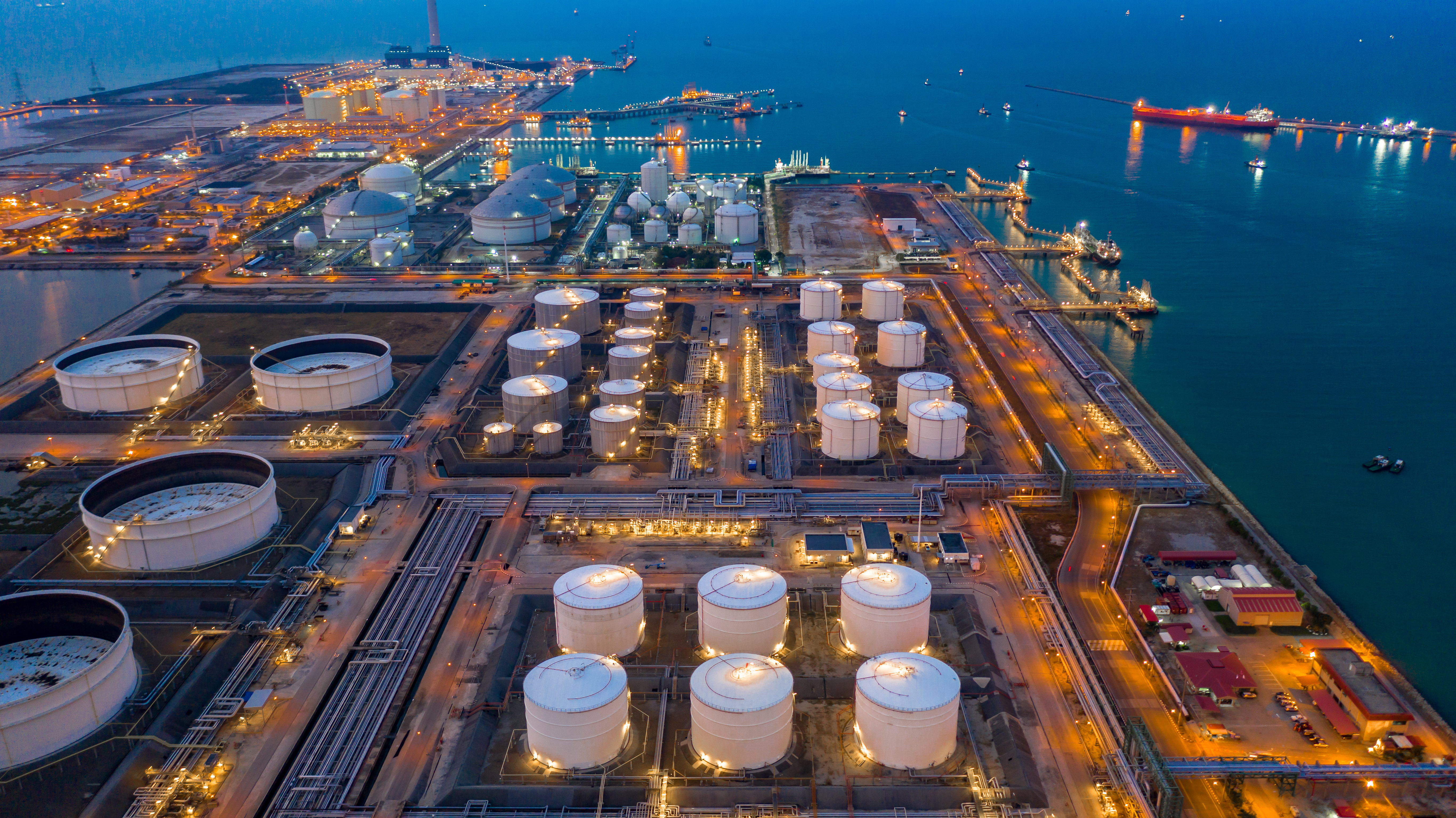 Asia Pacific's clean hydrogen future: diverging pathways, shared challenges