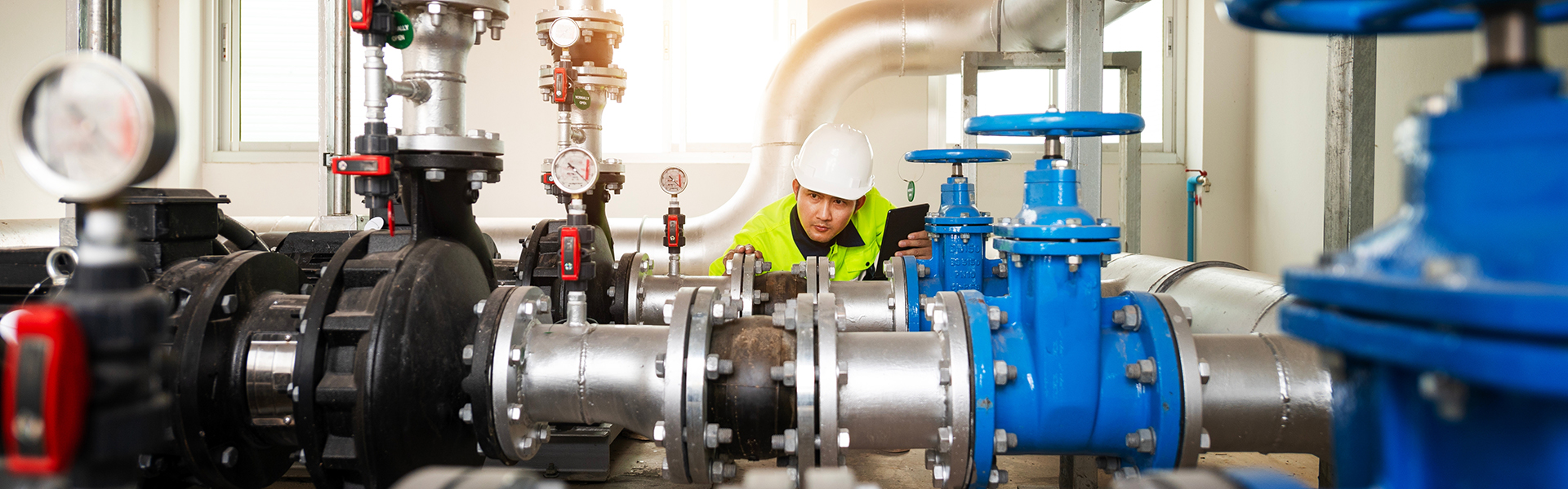 China's hydrogen play: scale today, energy security tomorrow