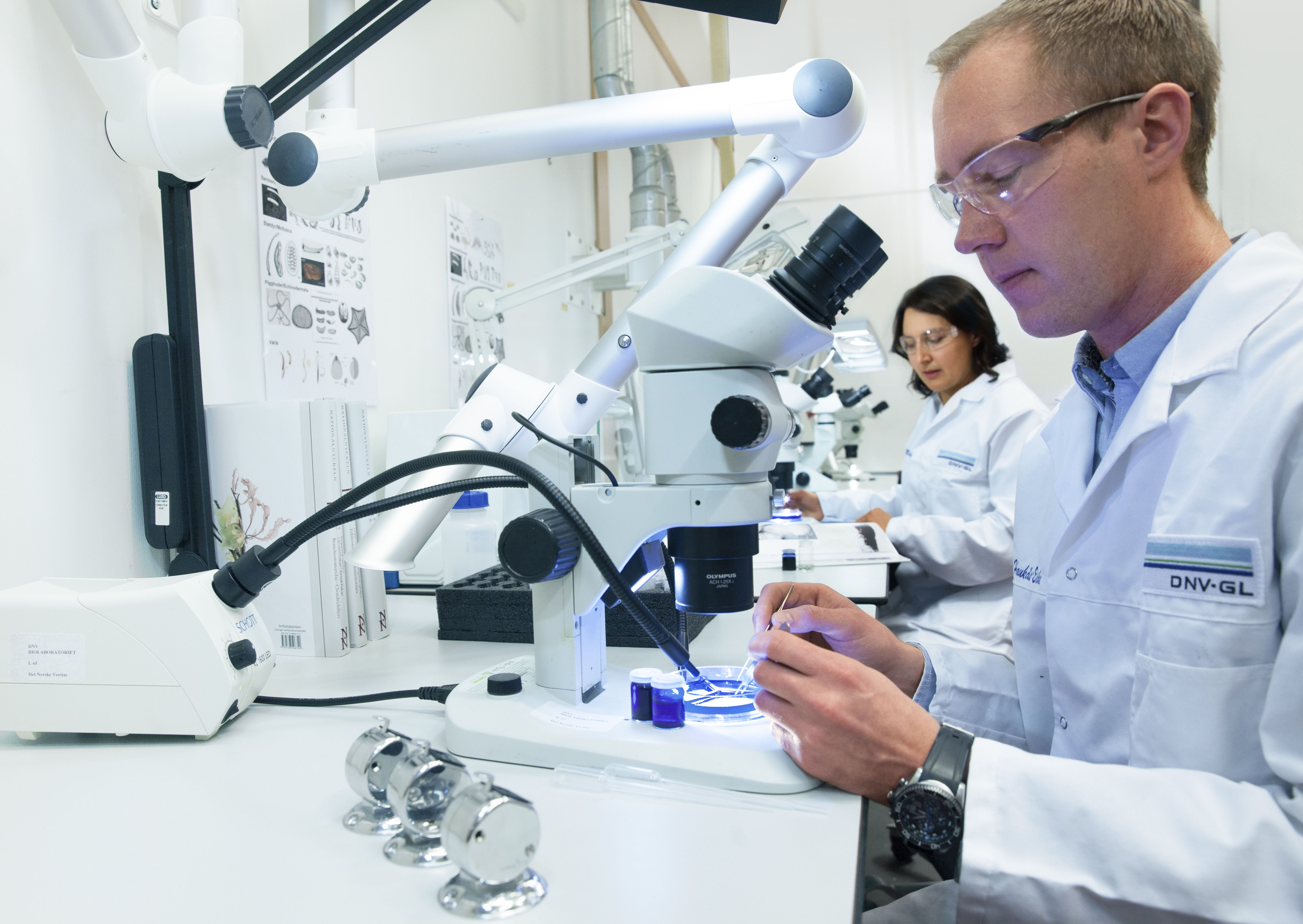 Environmental laboratory services