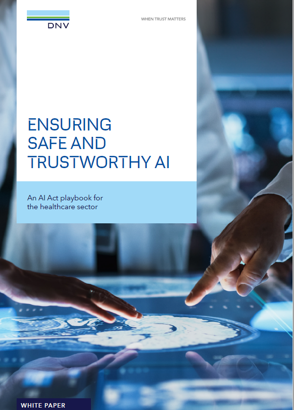 Ensuring Safe and Trustworthy AI