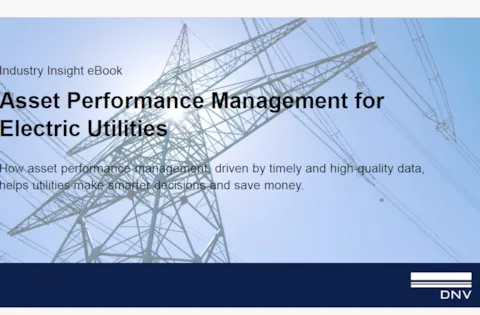 Asset performance management for electric utilities