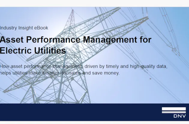 Asset performance management for electric utilities