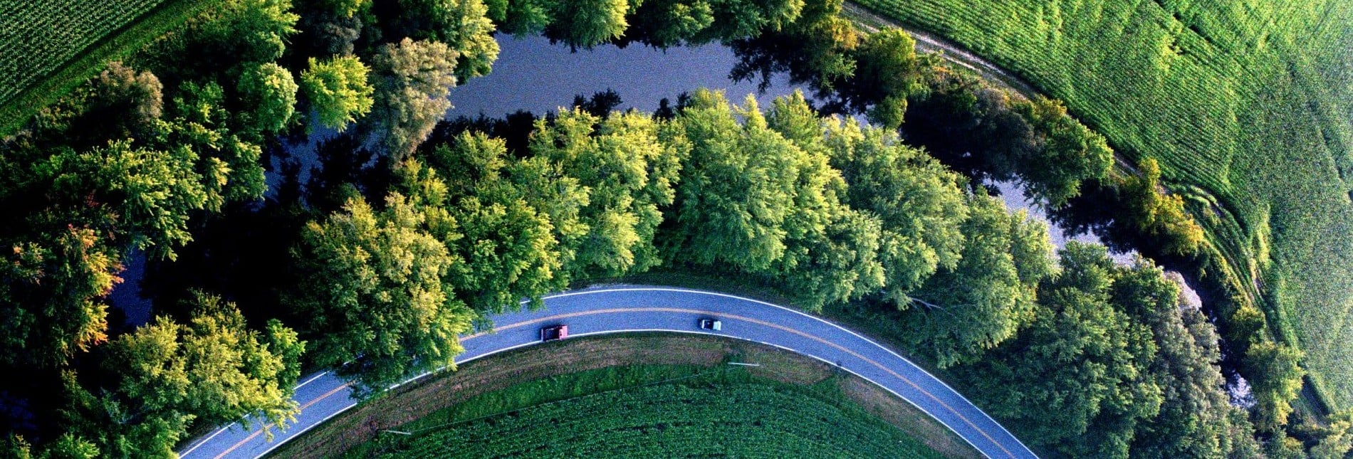 Road and landscape