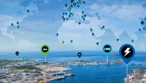 Alternative Fuels Insight (AFI) for the maritime industry