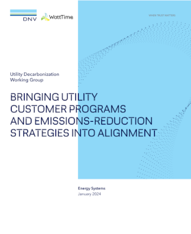 Utility Decarbonization Working Group