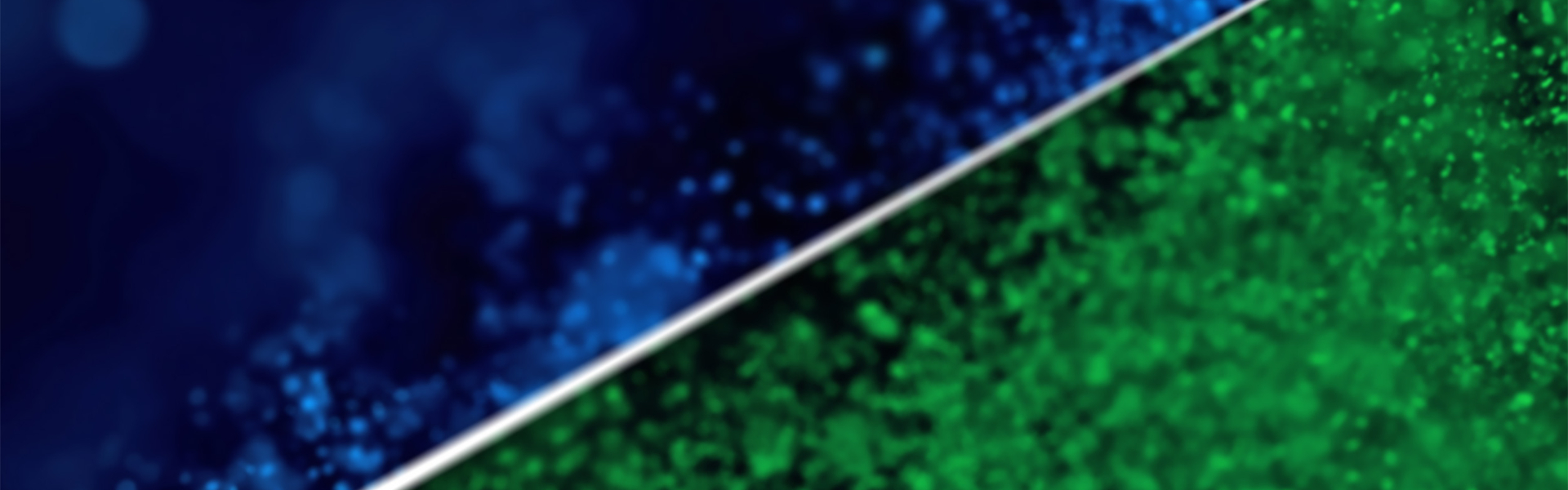 Maritime Energy Transition Summit 2026