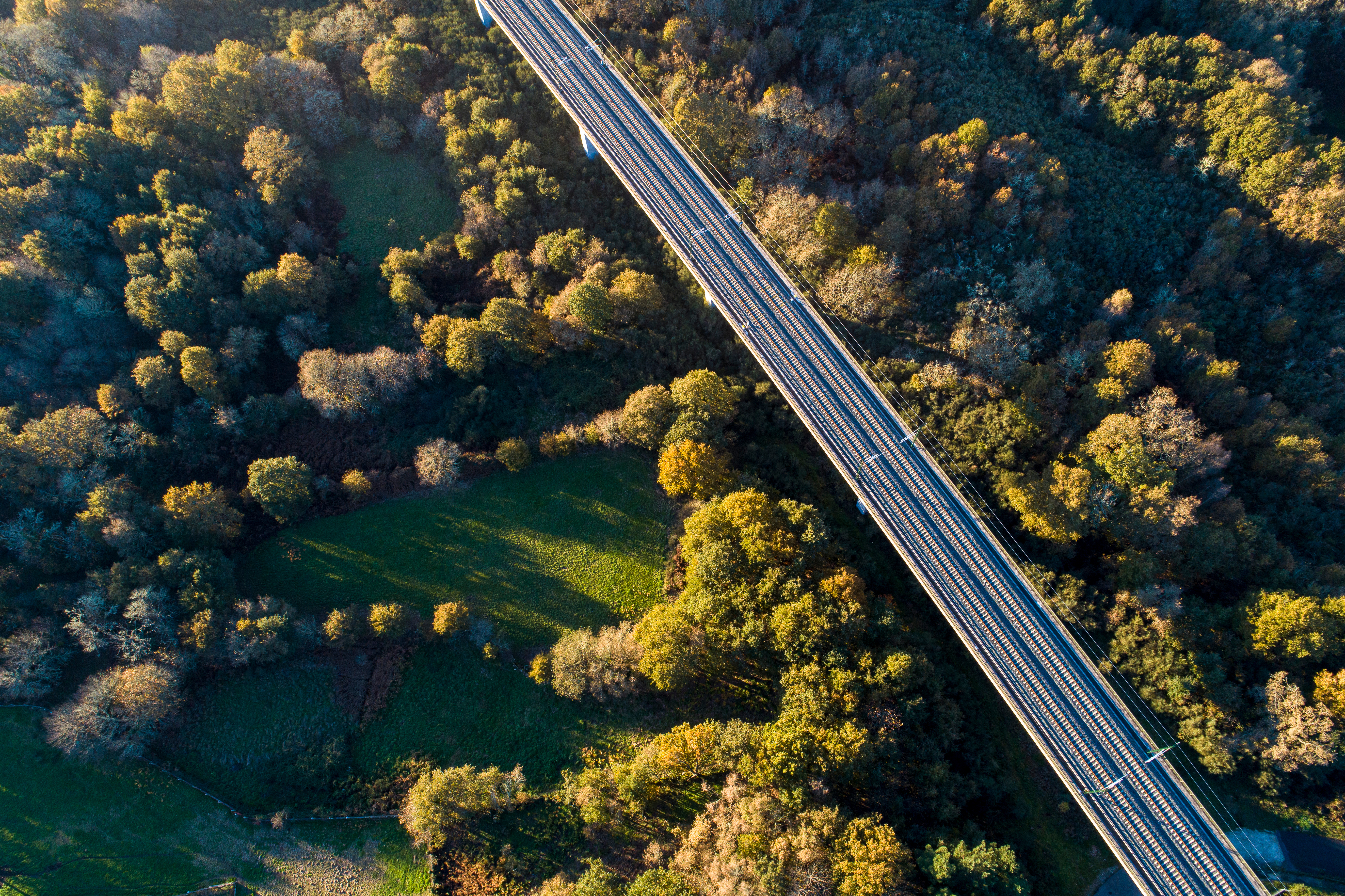 Railway line running through a forested landscape used for environmental and regulatory compliance monitoring