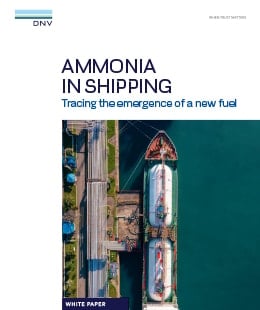 Ammonia Hydrogen publication