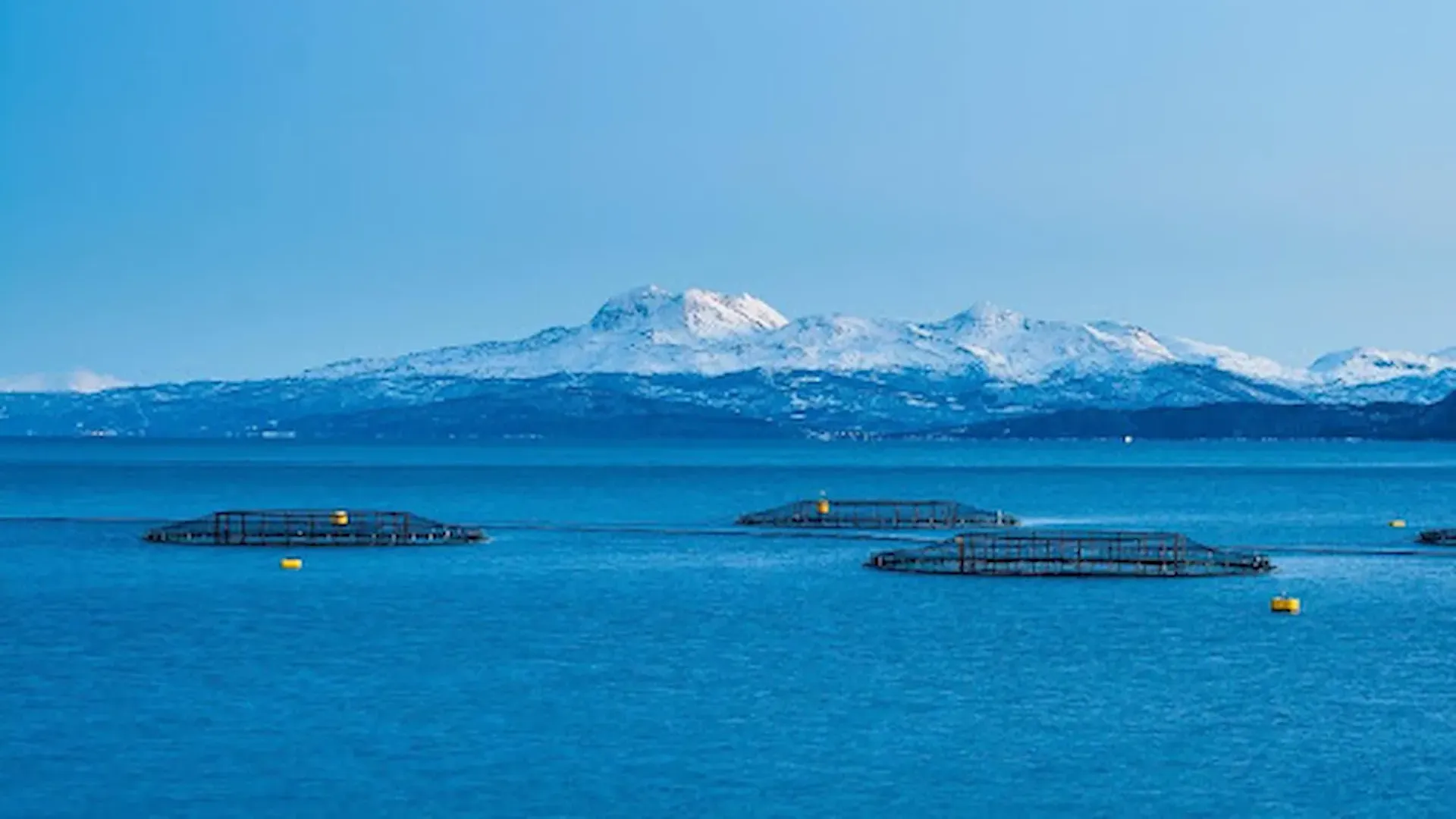 North Atlantic Seafood Forum (NASF) 2026