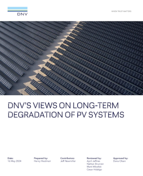Long-term degradation of PV systems