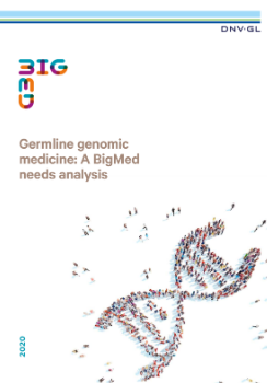 Germline genomic medicine: A BigMed needs analysis