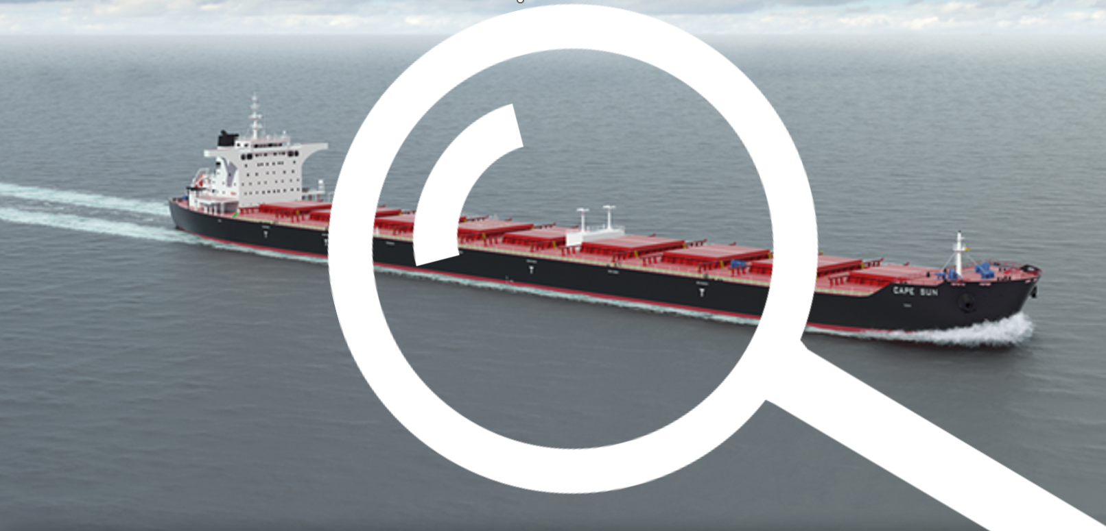 Vetting Inspections for Bulk Carriers