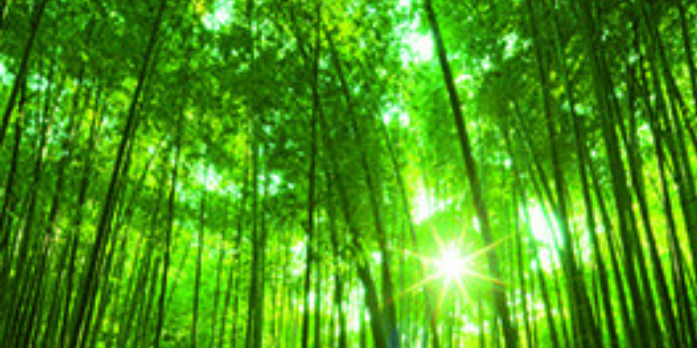 Norske Skog uses Synergi Life Risk Management and QHSE software