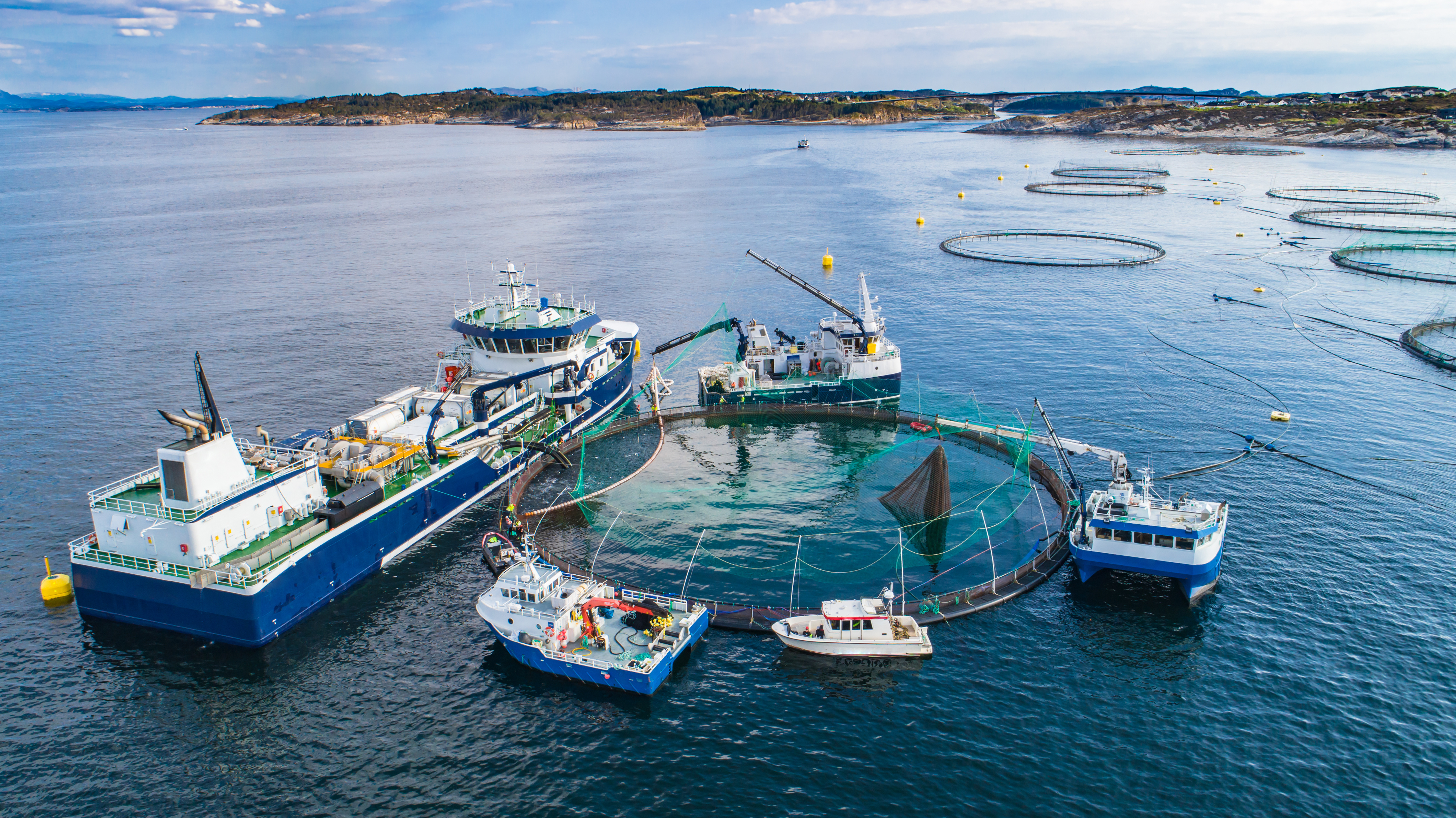 Offshore aquaculture installation with multiple vessels conducting certification and inspection activities in open water