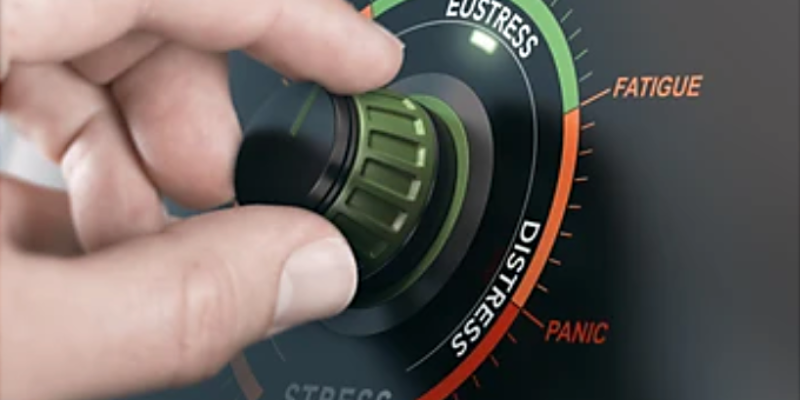 Stress versus Well-being in the Workplace - A Guide for Managers