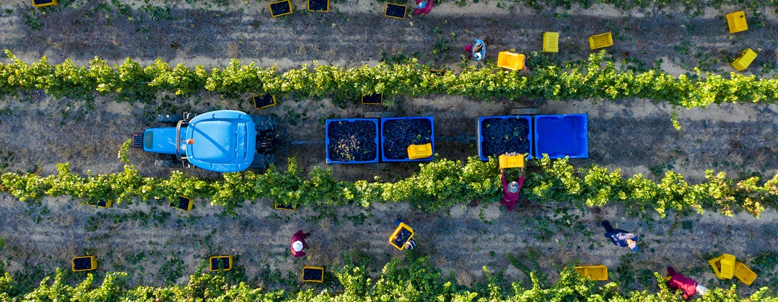 Social & Labor Convergence Program (SLCP) verification