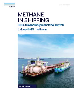Thumbnail Methane White paper