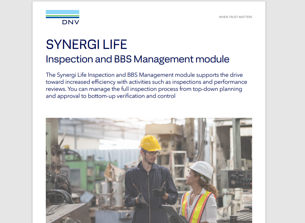 Synergi Life Inspection and BBS Management flyer