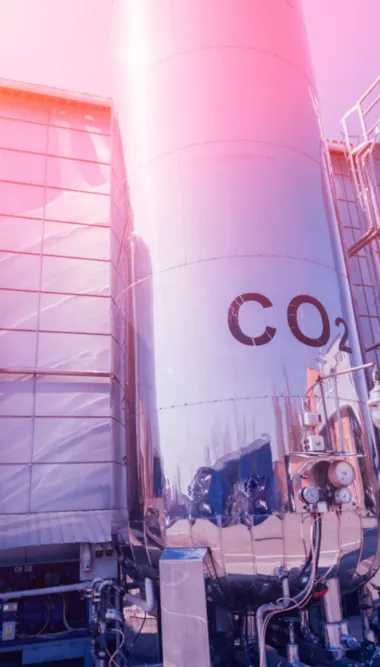 co2 plant