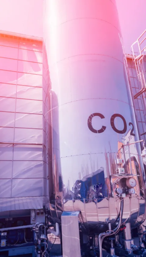 co2 plant