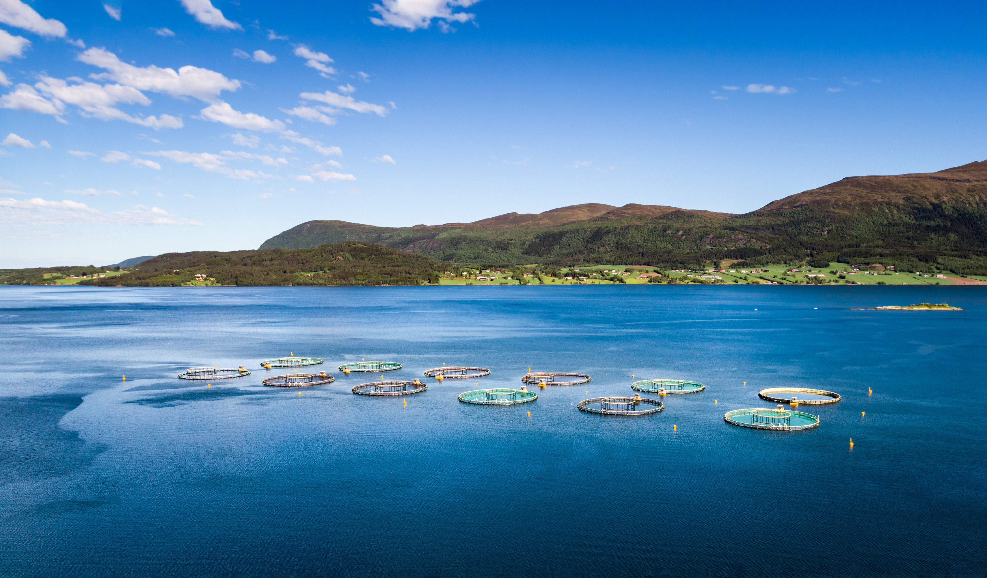 Aerial view of marine aquaculture cages in a coastal fjord, used to monitor environmental conditions and regulatory compliance