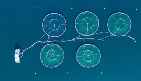 Smarter compliance for aquaculture