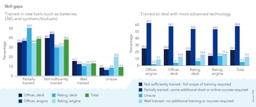 Skill gaps