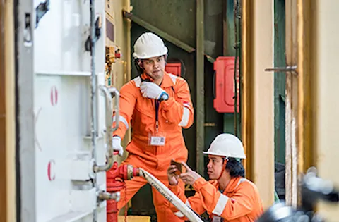 Download the full article