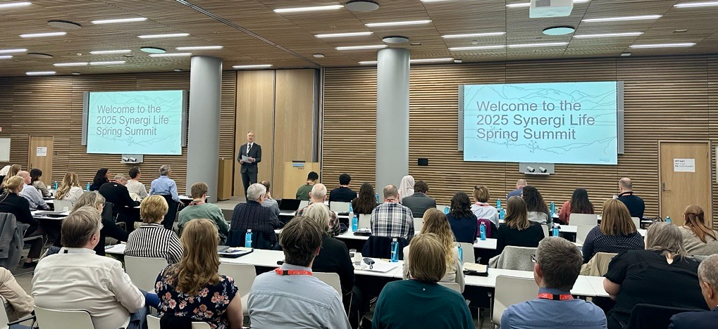 Synergi Life Spring Summit