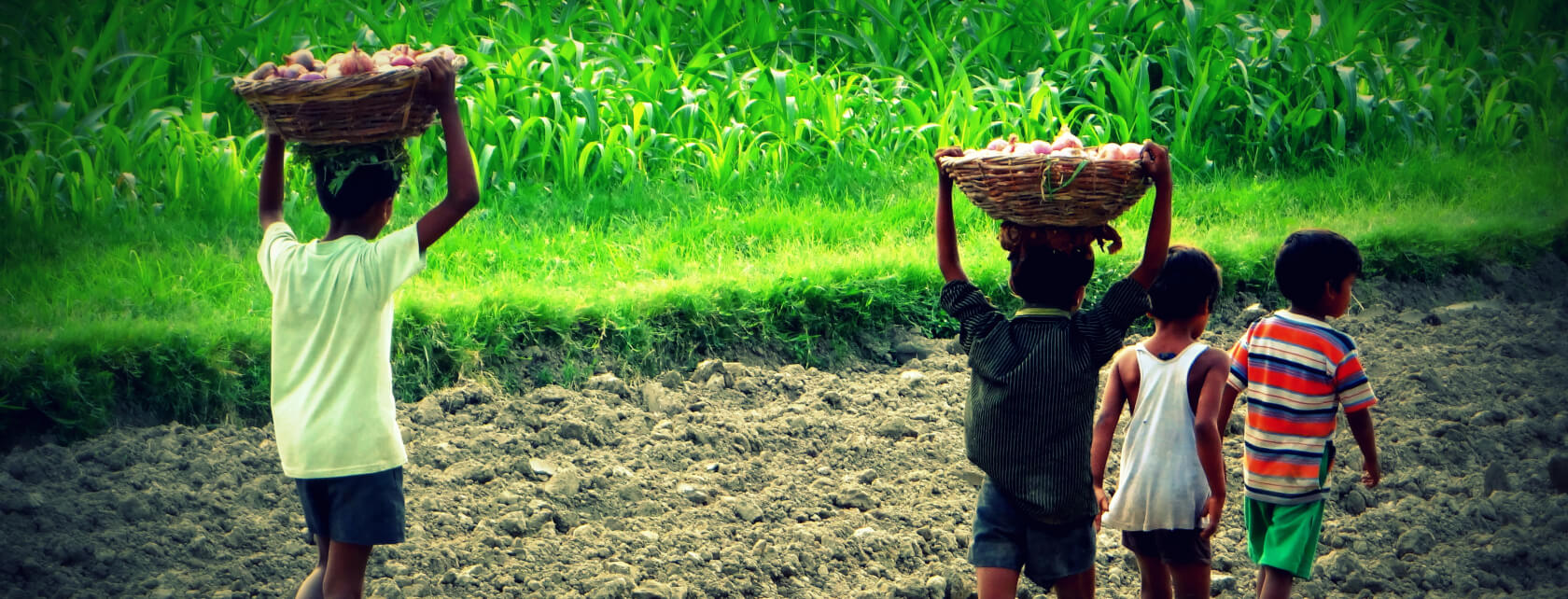 Human Rights Due Diligence and DNV