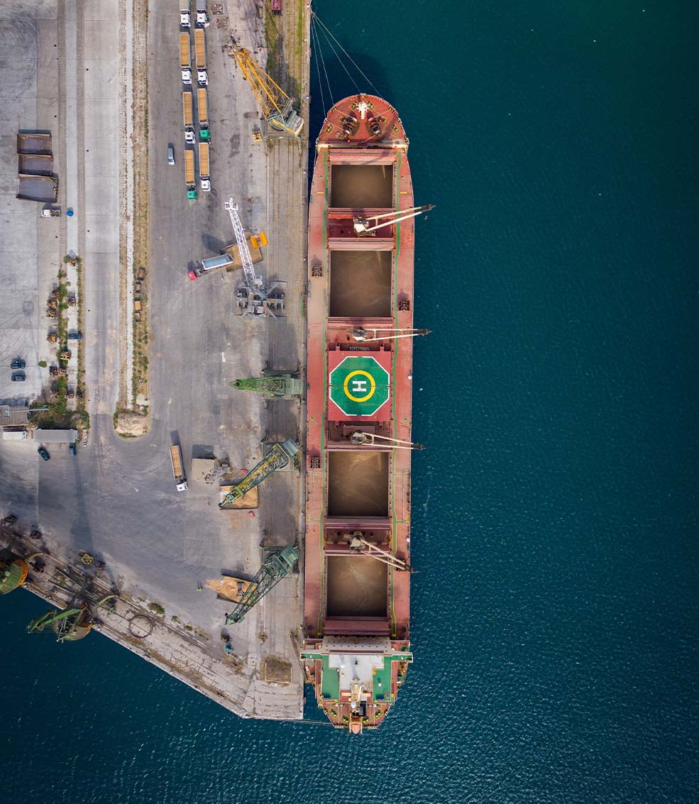 Bulk carrier loading grain