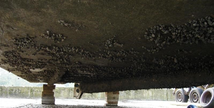 Practical Guide to Antifouling Management & ISO 19030 (online training)