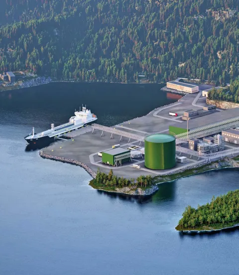Ammonia terminal