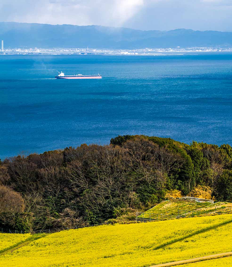 VLCC passing the green coast